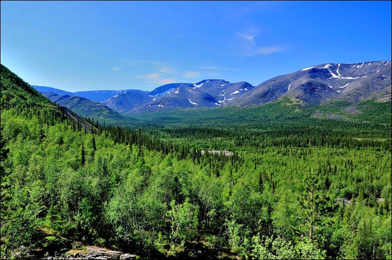 0_601dc_e44af48d_XL_393e8.jpg - 98.02 kB
