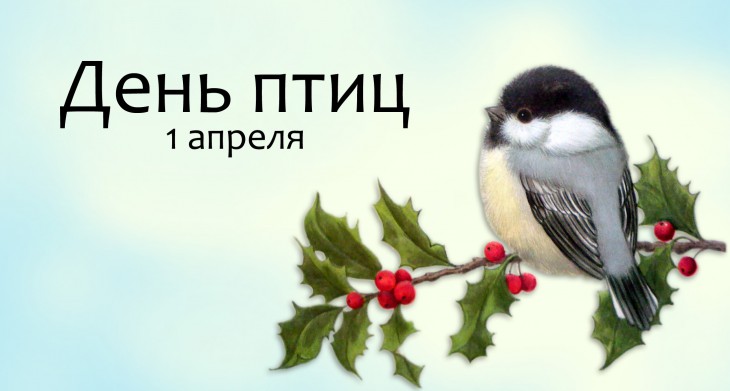 image14-730x391_3fa6c.jpg - 44.10 kB
