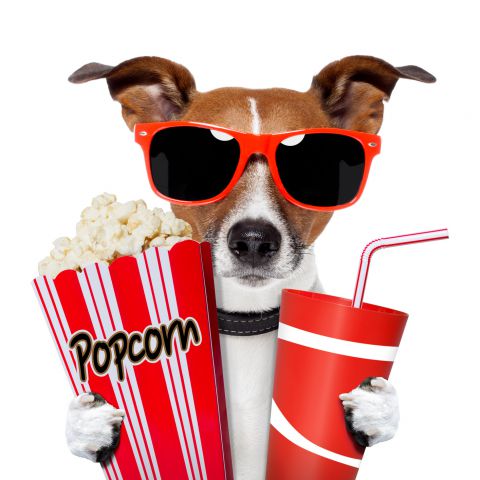 movie-night-clipart-9cp4q9xcE.jpeg - 35.71 kB
