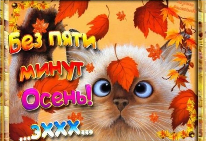 qzf2g2jatv18joxmotylg2gru_f96d3.jpg - 92.18 kB