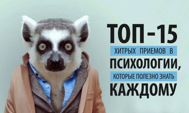 r2_cs543108.vk.me_5Zu8ixBL4gk_23f63afc_1a96f.jpg - 48.89 kB