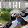 Фотовыставка «Кандалакшский заповедник: животные арктических островов» начнет работу 2 февраля
