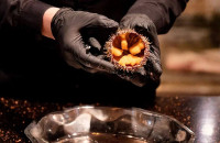 «Ёж за ЗОЖ» и «Арктик вкус»: гастропроекты из Мурманской области вошли в число лучших на всероссийской онлайн-школе «Кухня Русского Севера»