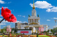 Мурманская область представит вкус Арктики на фестивале «Вкусы России» на ВДНХ