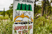 На территории Мурманской области введено ограничение пребывания граждан в лесах и въезда в них транспортных средств